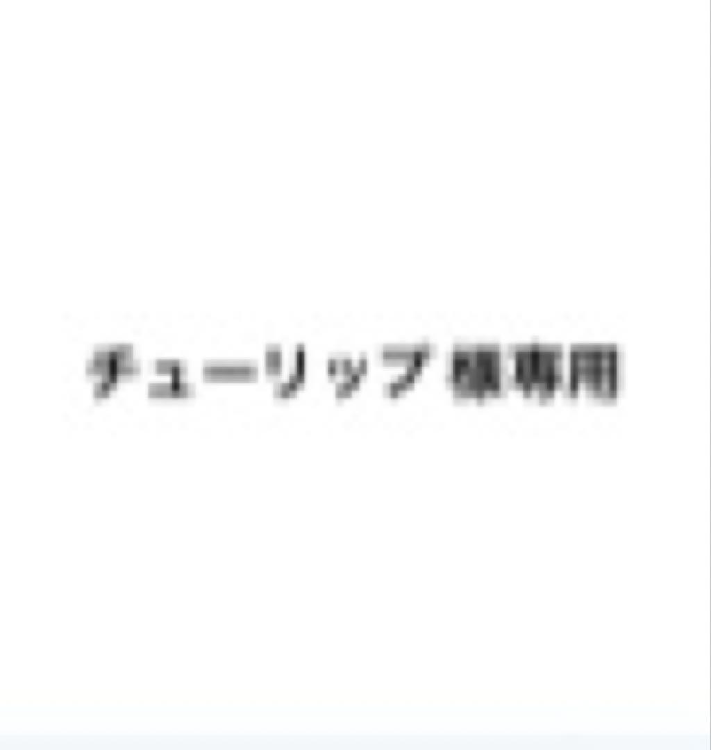 チューリップ　