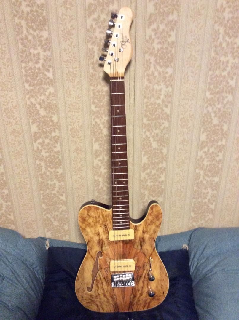 ギター Michael Kelly Guitars 59 thin line P-90