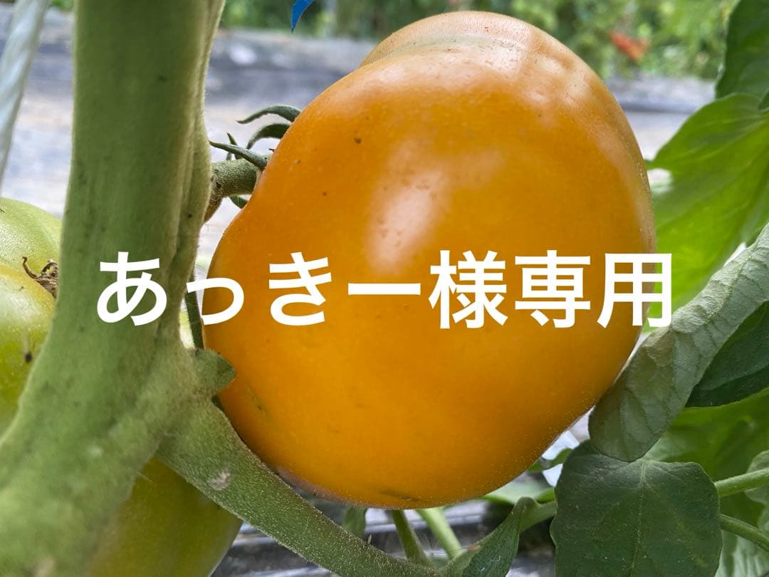 あっきーです