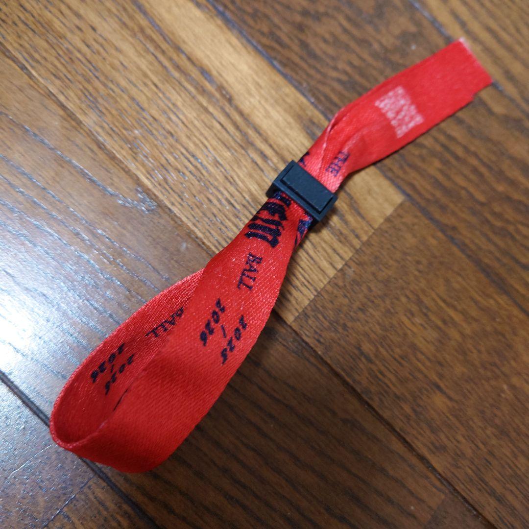 レディ・ガガ　シルバーVIPグッズ（未開封）