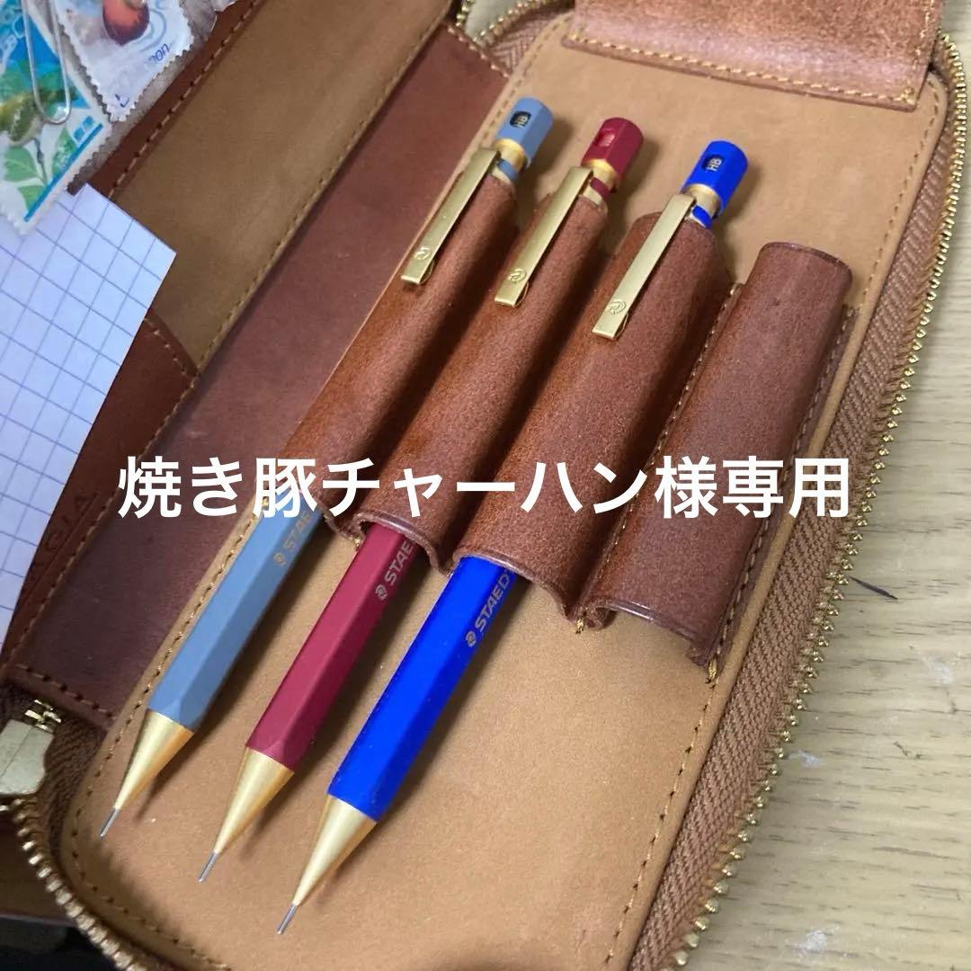 バハギアペンケース　ヘキサゴナルv1〜v3 おまけでcp1も付けます