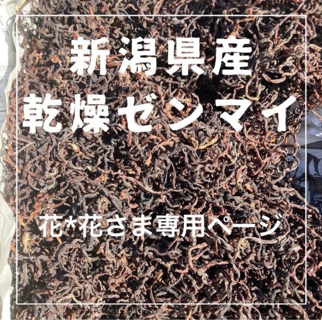 専用ページ