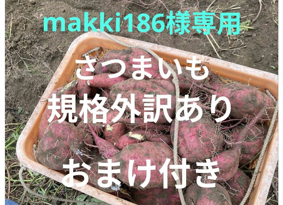 makki186さつまい も規格外訳ありおまけ付き箱込み２０キロ以下