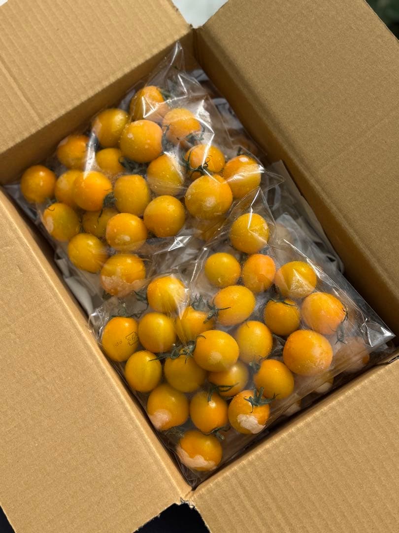冷凍トマト ミニトマト イエローミミ 業務用 加工用 10kg