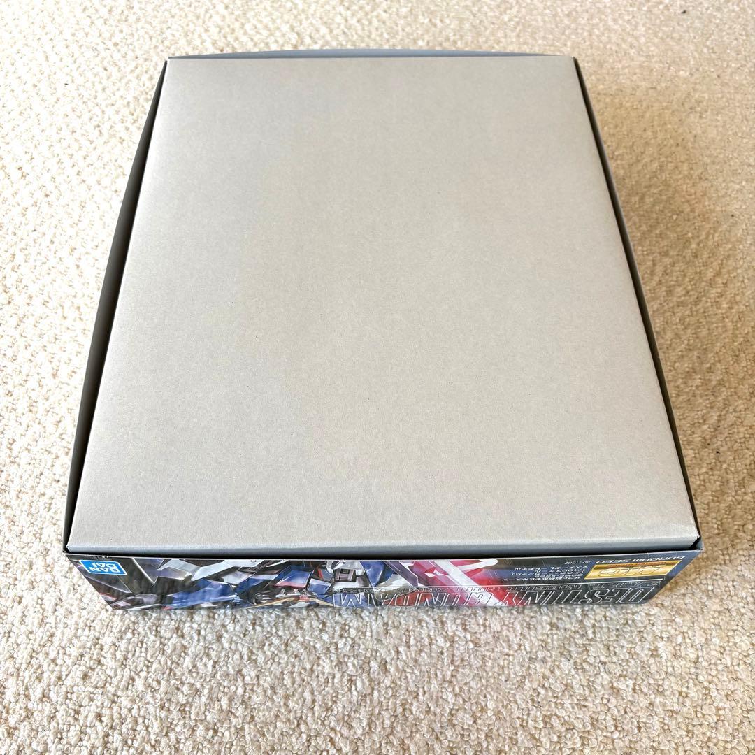 ★人気★ MGターンX & デスティニーガンダム ガンプラセット 新品