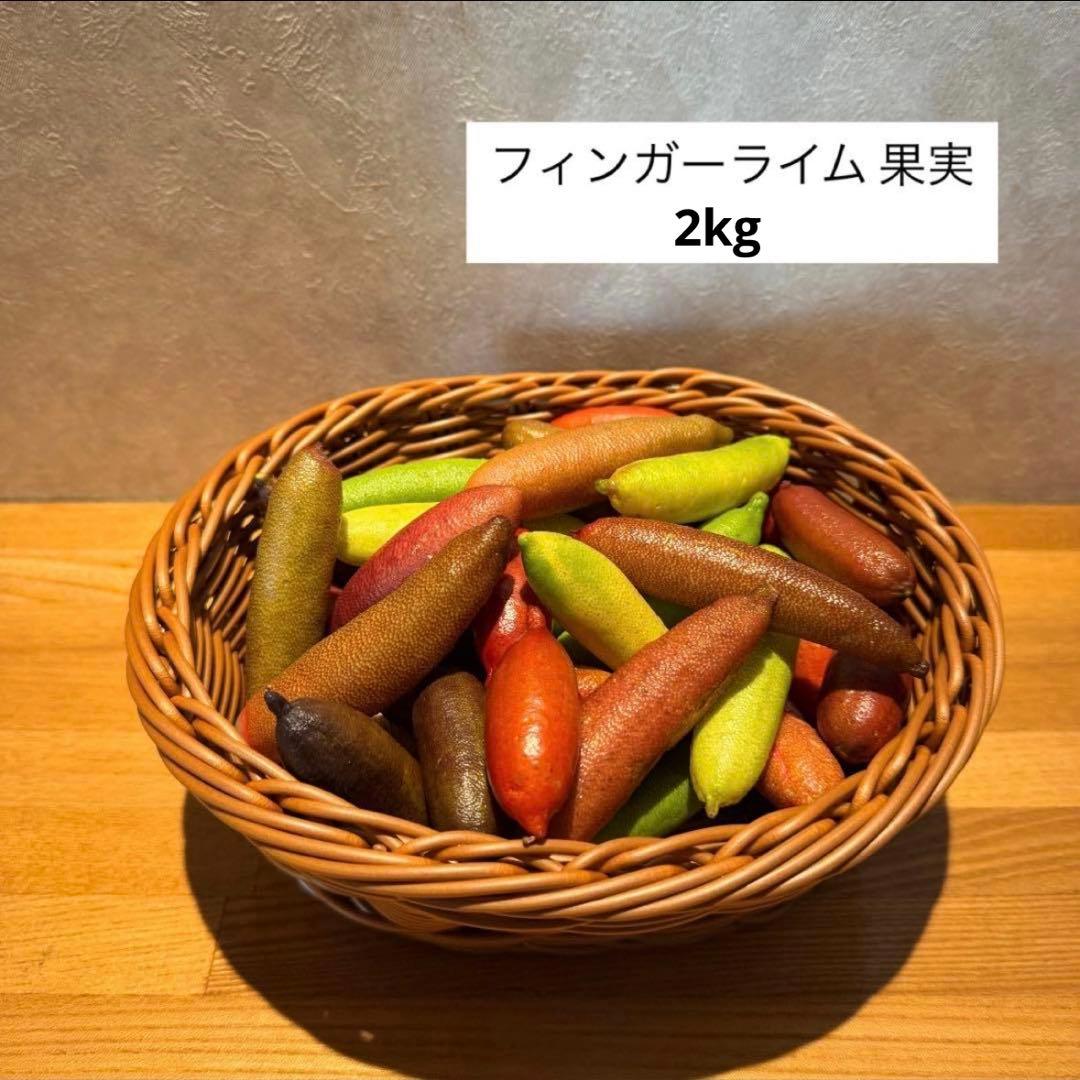 果物 celicayasu