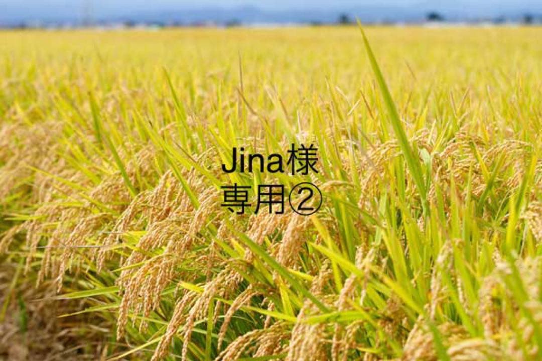 Jina②