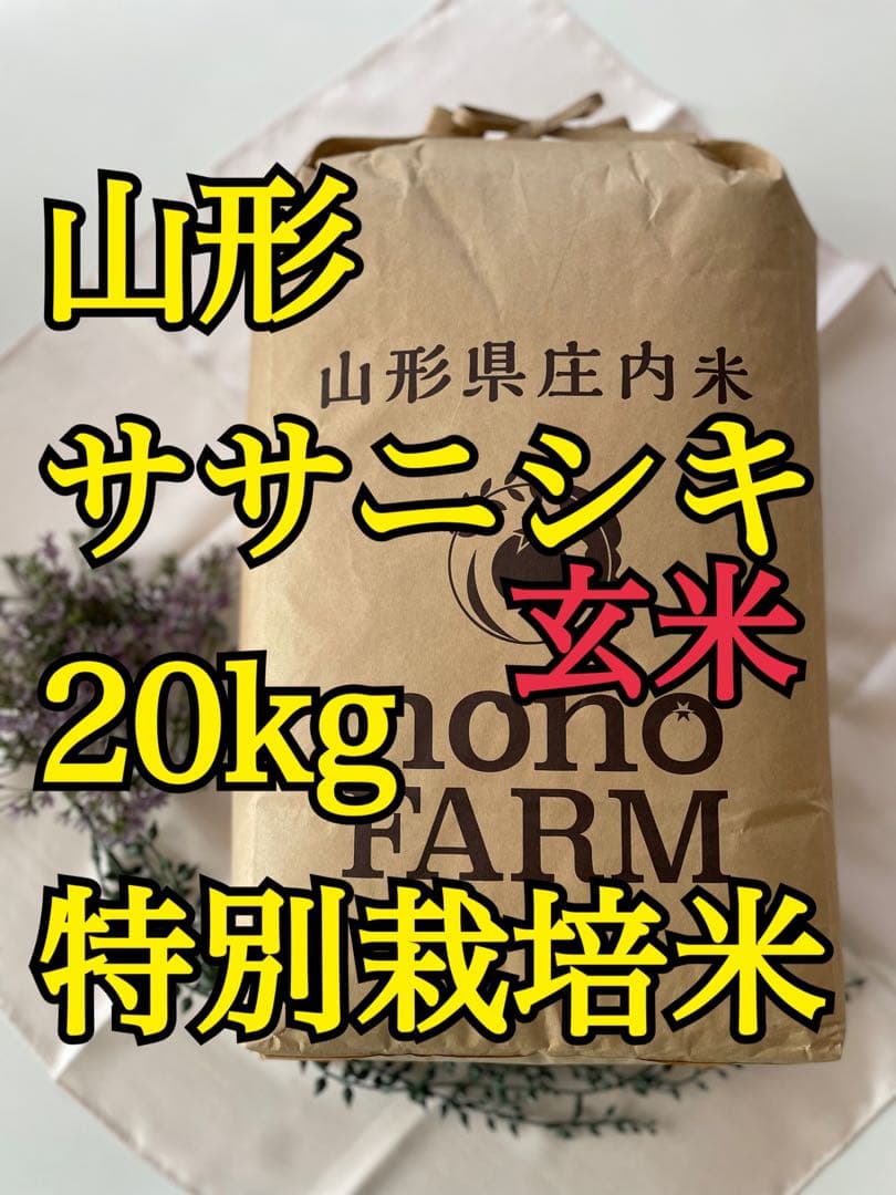 【専用‼︎】岡山のミキティ様