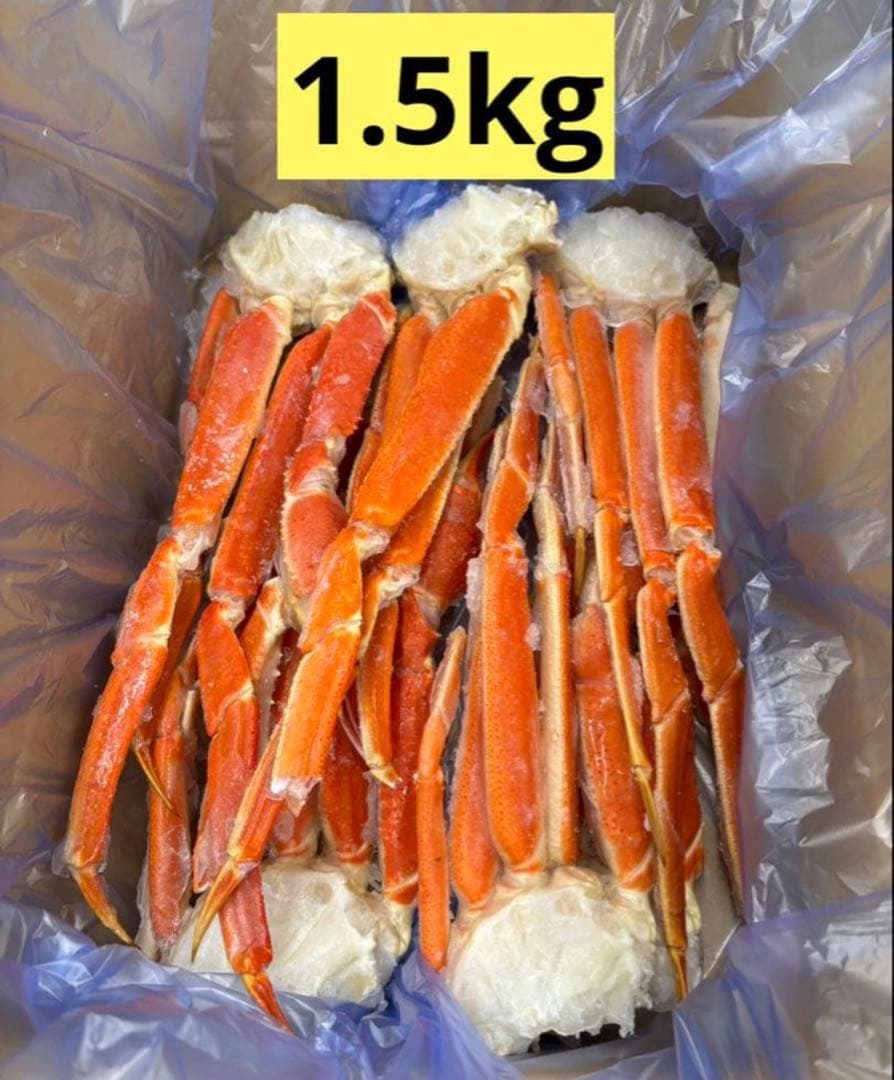 【12月26日 一番遅い時間指定】 貝柱 本ズワイガニ 1.5kg