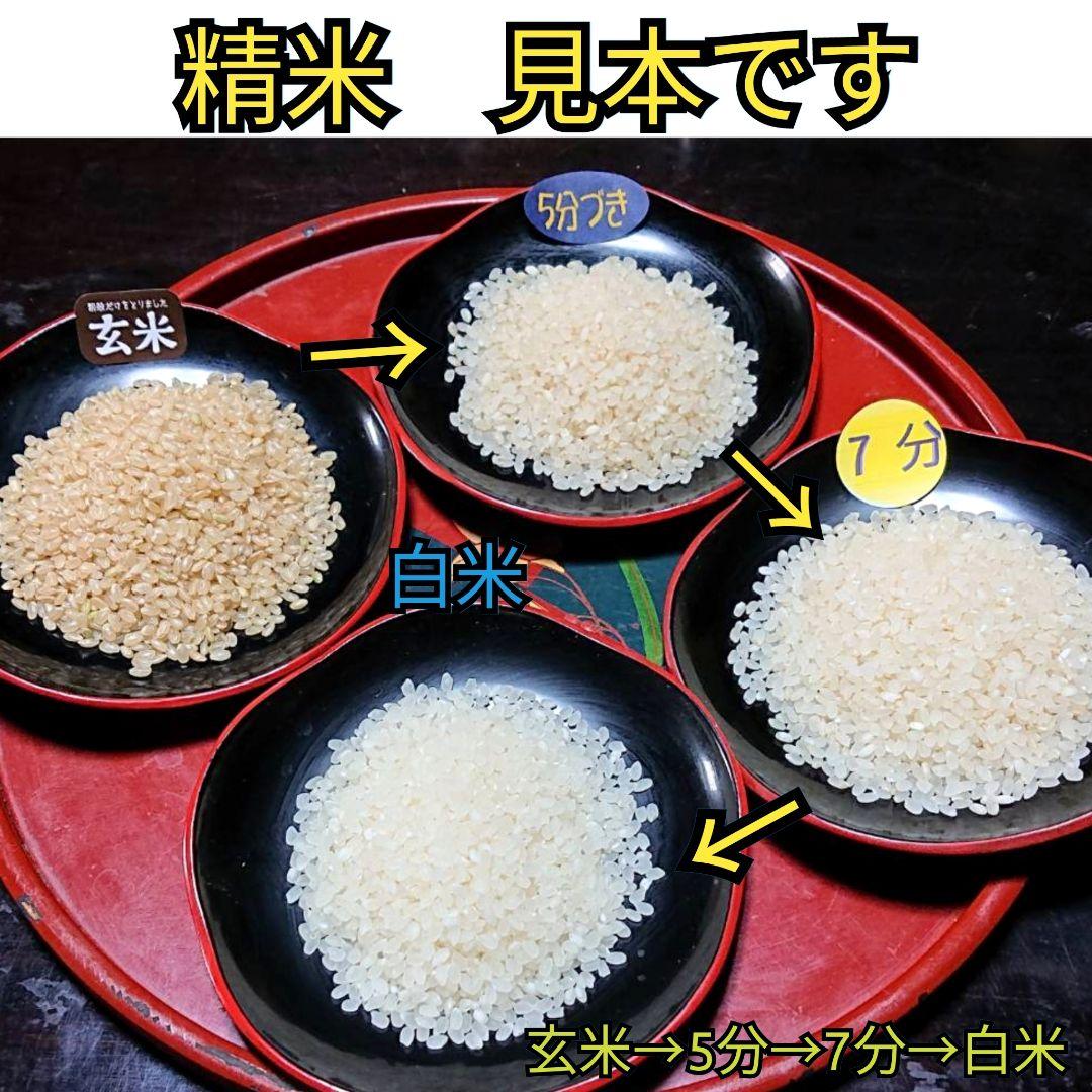 R7年富山県産コシヒカリ白米4.5kg×4袋✳️関東、東海、信越、関西地域限定