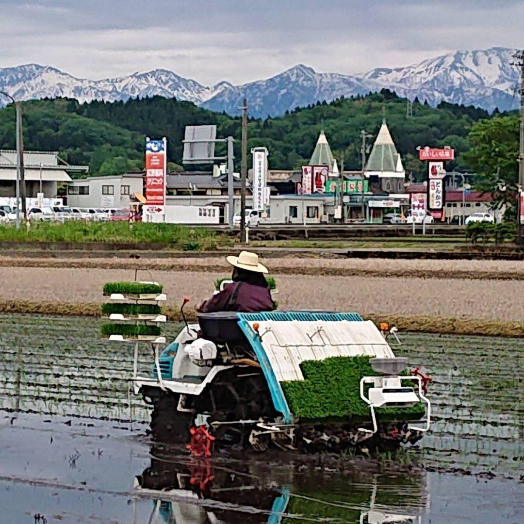 R7年富山県産コシヒカリ白米4.5kg×4袋✳️関東、東海、信越、関西地域限定