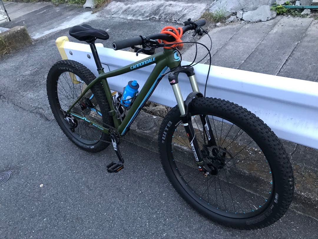 CANNONDALE BEAST OF THE EAST カスタム 引取限定