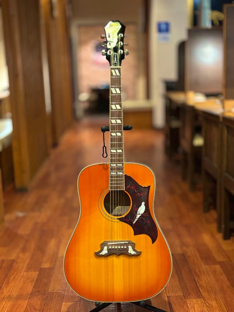 エ*バ様 Epiphone Dove Pro アコースティックギター