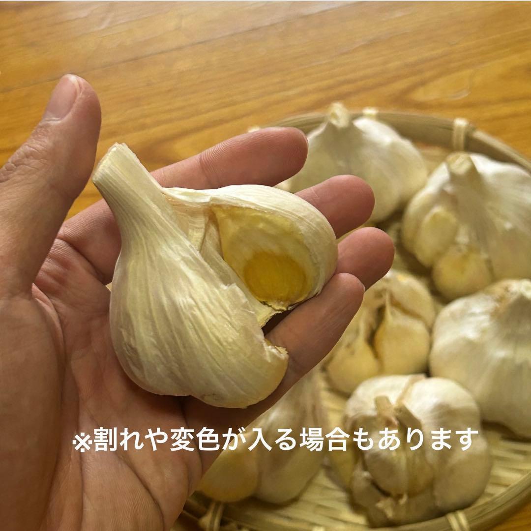 【お買い時】青森県産にんにく L 4kg福地ホワイト六片 激安 家庭用 加工用