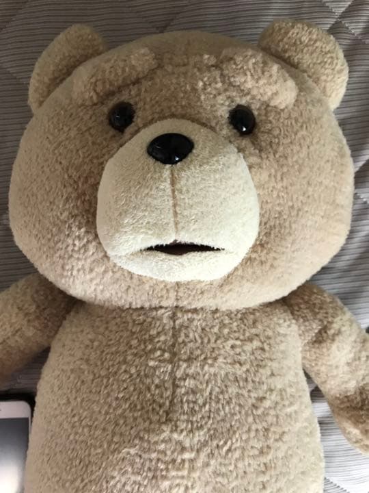 テッド　Ted ぬいぐるみ