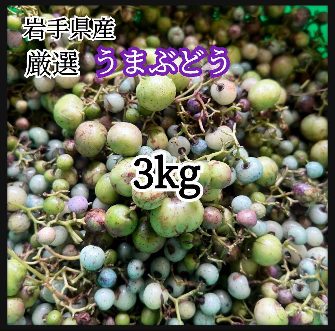 岩手県産 3kg 野ぶどう うまぶどう　冷凍クール便　250g×12袋