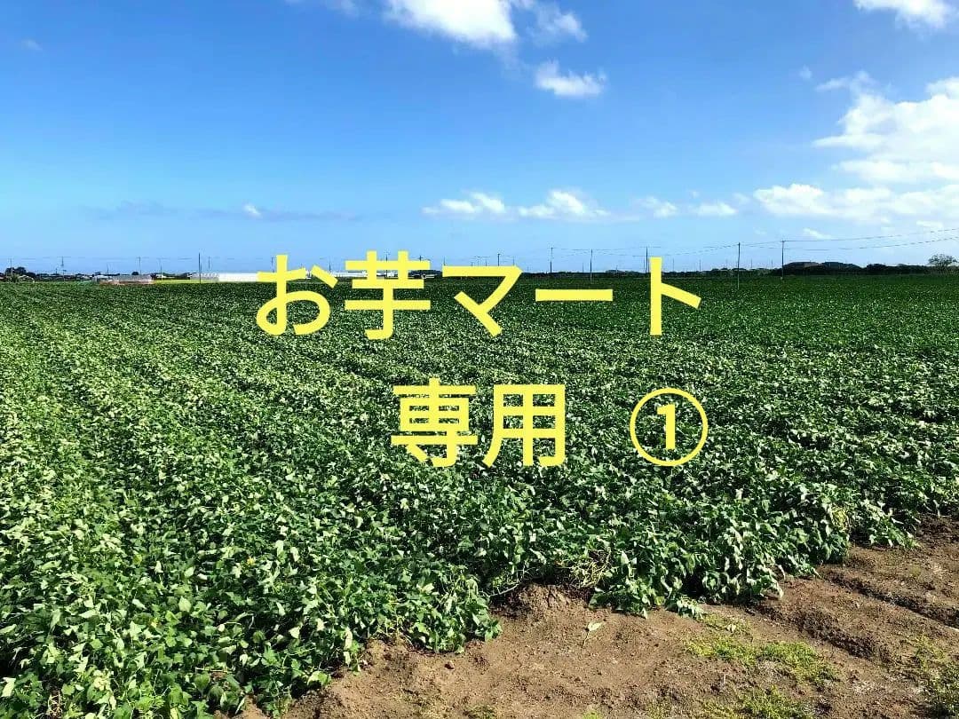 お芋マート☆　専用①