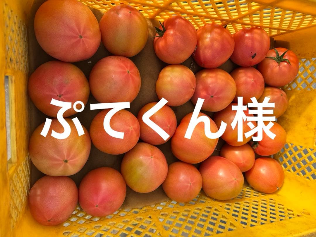 ぷてくん様