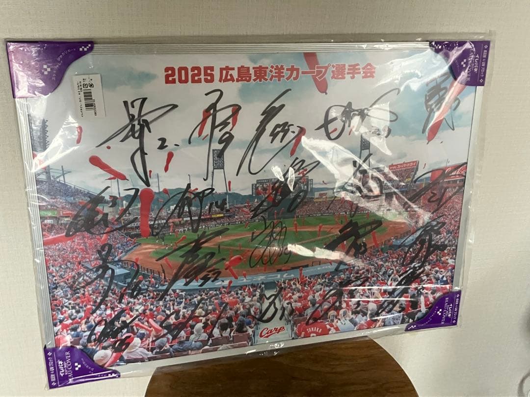 ご*ん様 広島東洋カープ2025年選手会サイン入り写真パネル【非売品】
