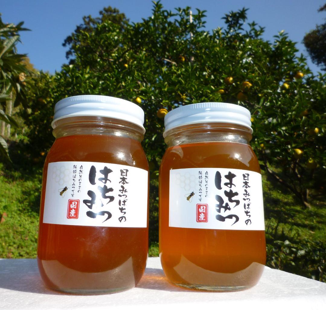 安心の日本みつばち 芳醇 糖度81％ 優良品 非加熱 秋はちみつ1,100ｇ
