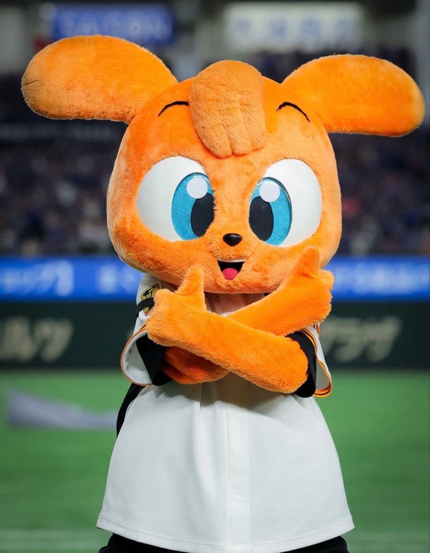 オーダー