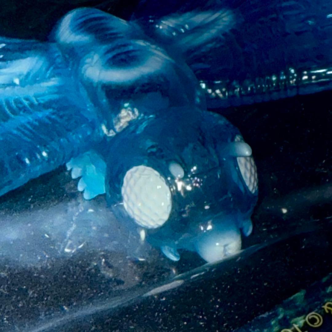 CCP モスラ 新江ノ島水族館限定カラー ゴジラ vs 江ノ島 ソフビ えのすい