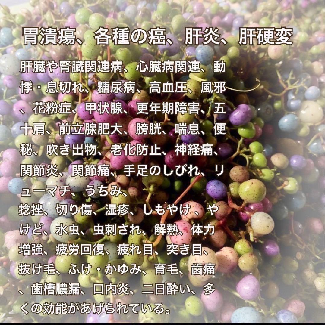 【採れたて】馬ぶどう250g×12袋　1年分3kg うまぶどう　薬膳　おすすめ