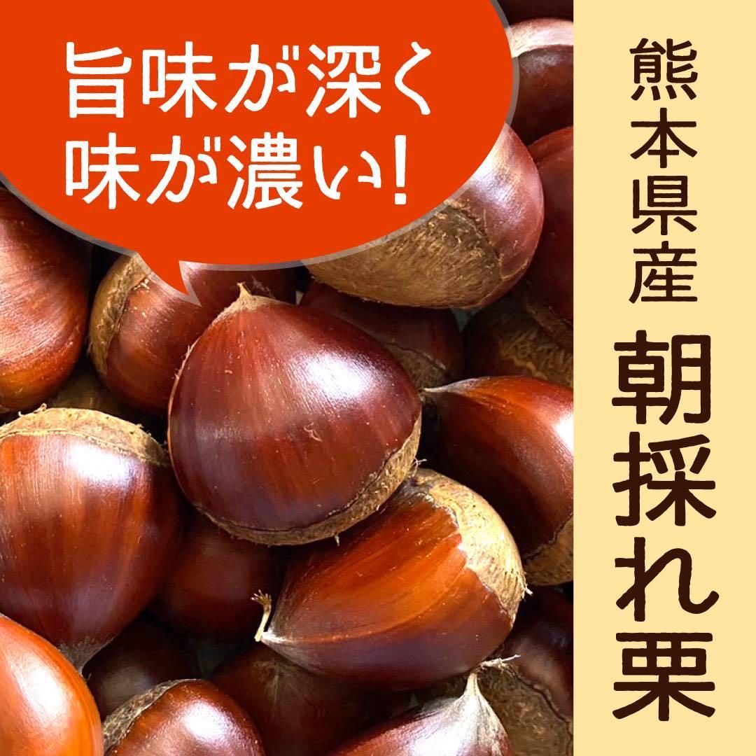 熊本県産　栗　生栗　まゆみ農園　注文画面