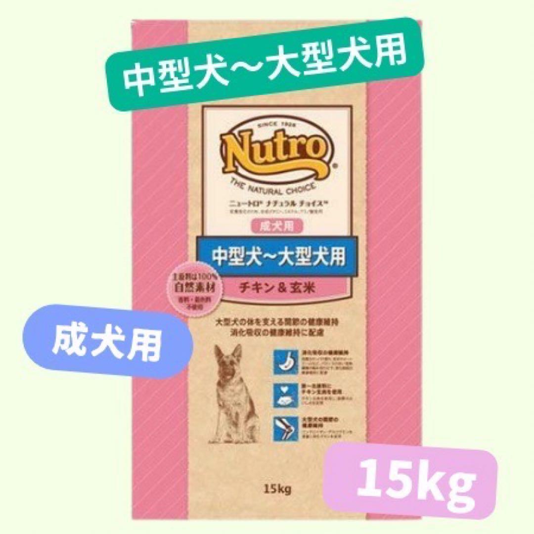 わたし
