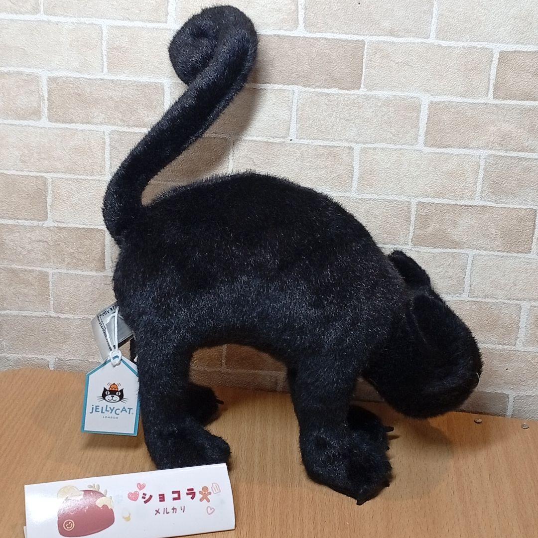  Spookipaws Cat 黒猫 ブラックキャット　ネコ