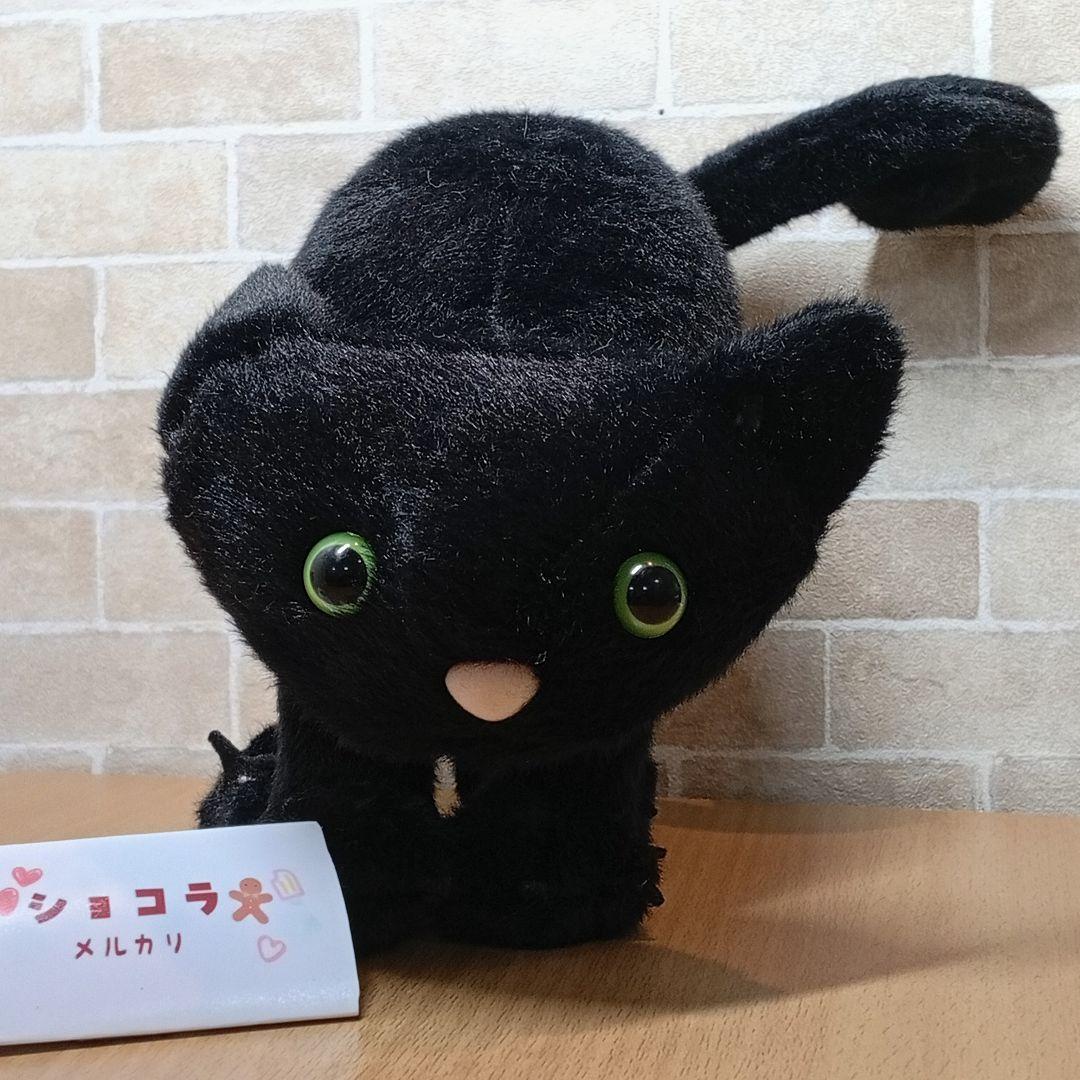  Spookipaws Cat 黒猫 ブラックキャット　ネコ