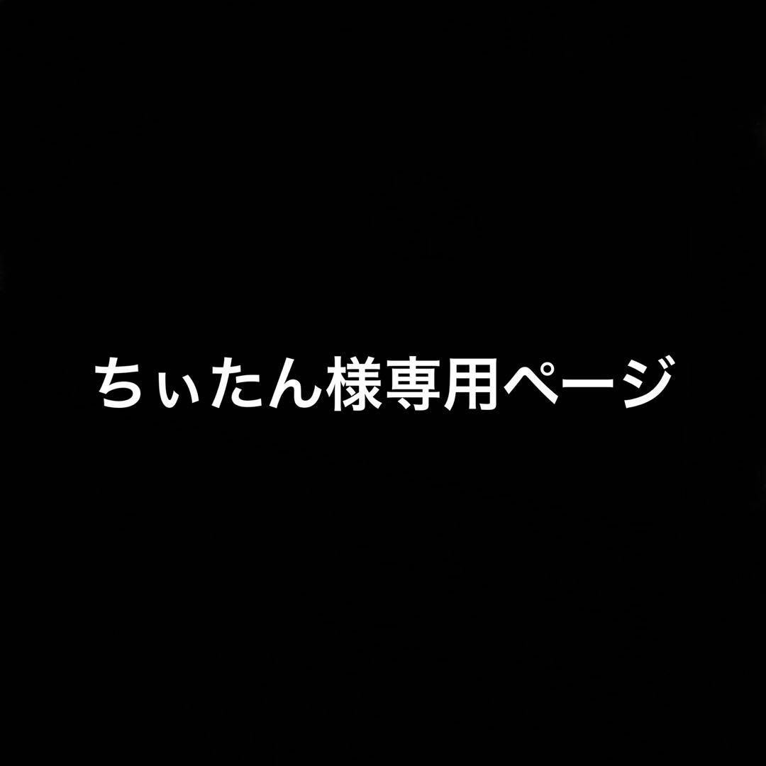 ちぃたんページ