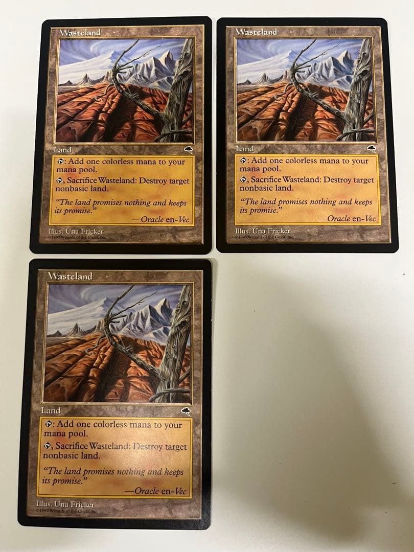MTG 不毛の大地/Wasteland 英語3枚セット