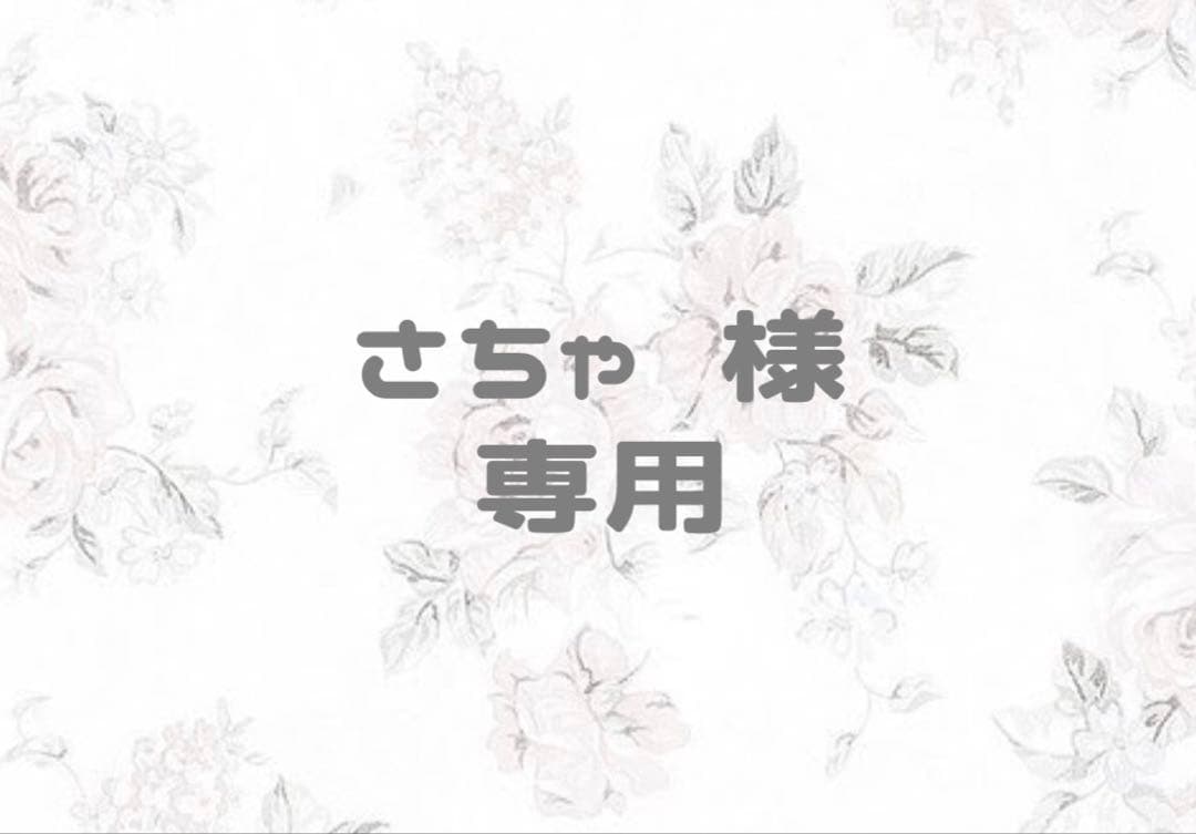 さちゃ ページ
