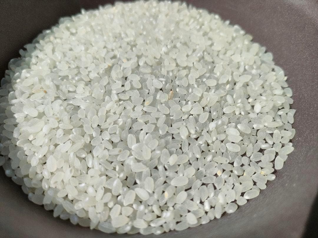令和７年度兵庫県産 ちほみのり 玄米30kg※精米可 本州・四国・九州は送料無料