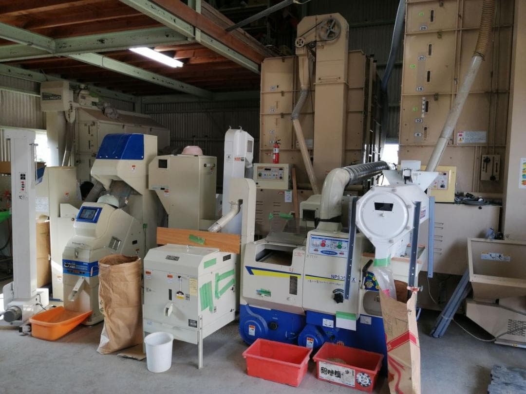 令和７年度兵庫県産 ちほみのり 玄米30kg※精米可 本州・四国・九州は送料無料