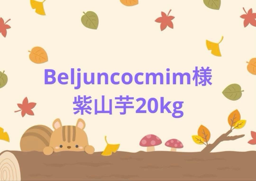 紫山芋　20kg