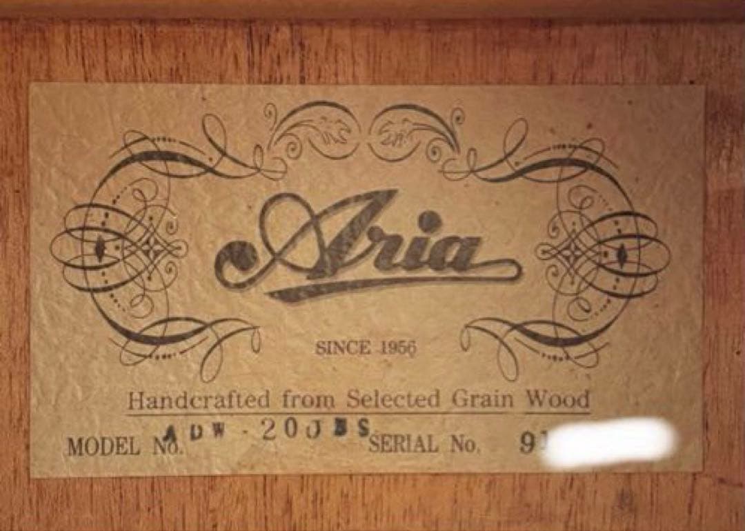 【エレアコ化】Aria ADW-200BS 低弦高 ライブ 録音