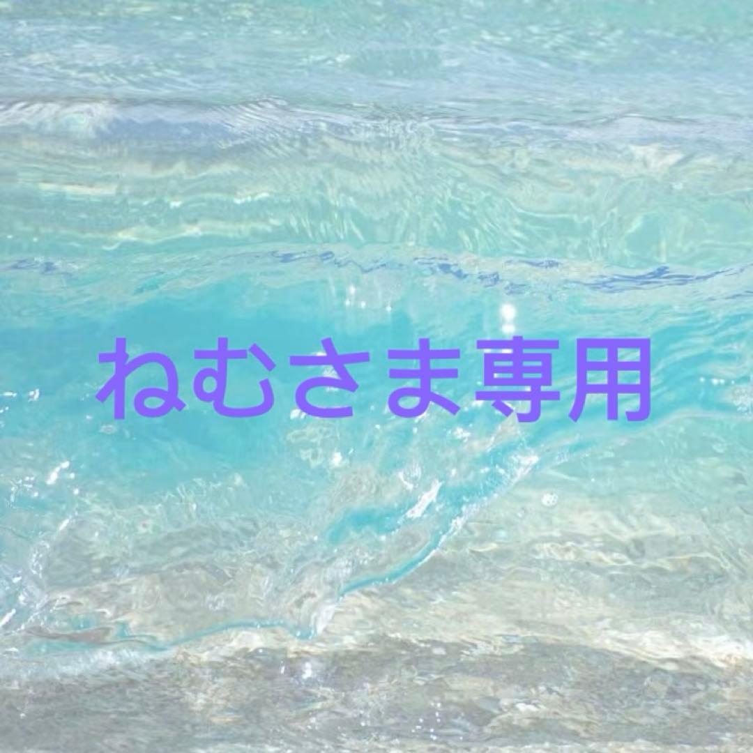 ねむさま専用