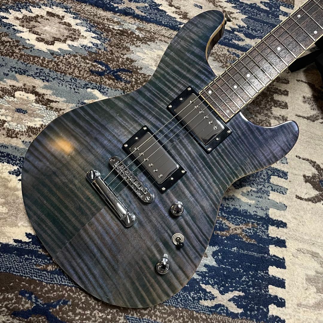 Fernandes APG-85 PRS Gibson TAK DC 風