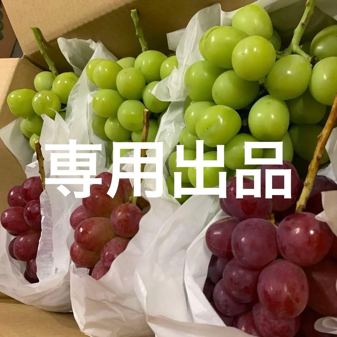 信州　大粒シャインマスカット＆クイーンルージュ®︎ お任せBOX
