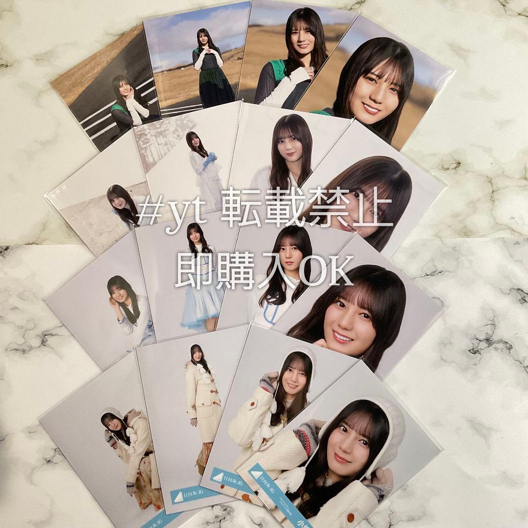 日向坂46 小坂菜緒 クリフハンガー 16種コンプ 生写真