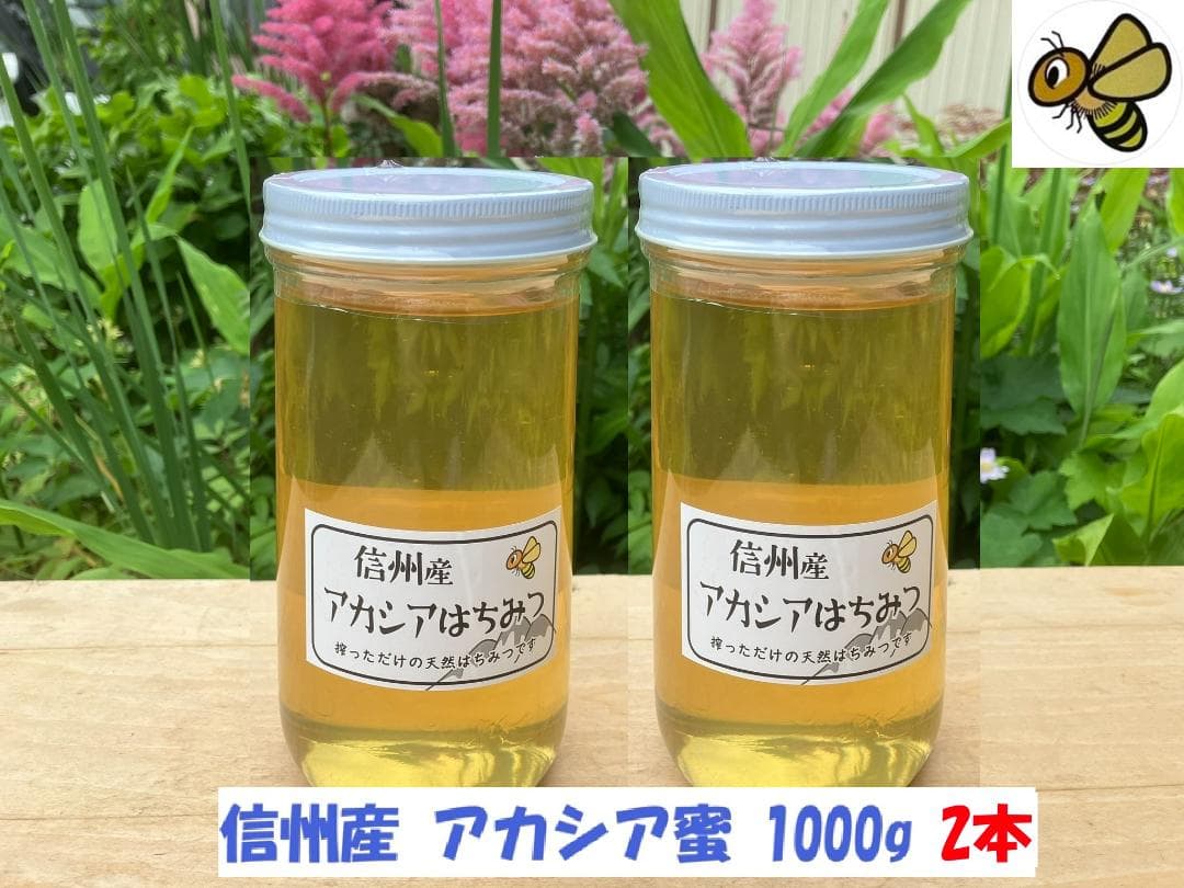 アカシア蜂蜜 1000g 2本 長野県産 国産蜂蜜 生蜂蜜 セイヨウミツバチa