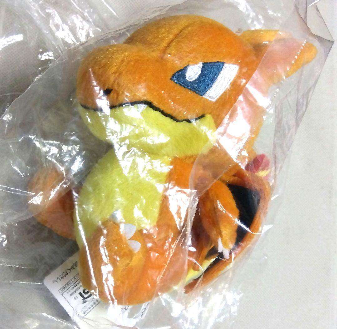 ポケモン　ぬいぐるみ　メガリザードンY　炎　202510111918