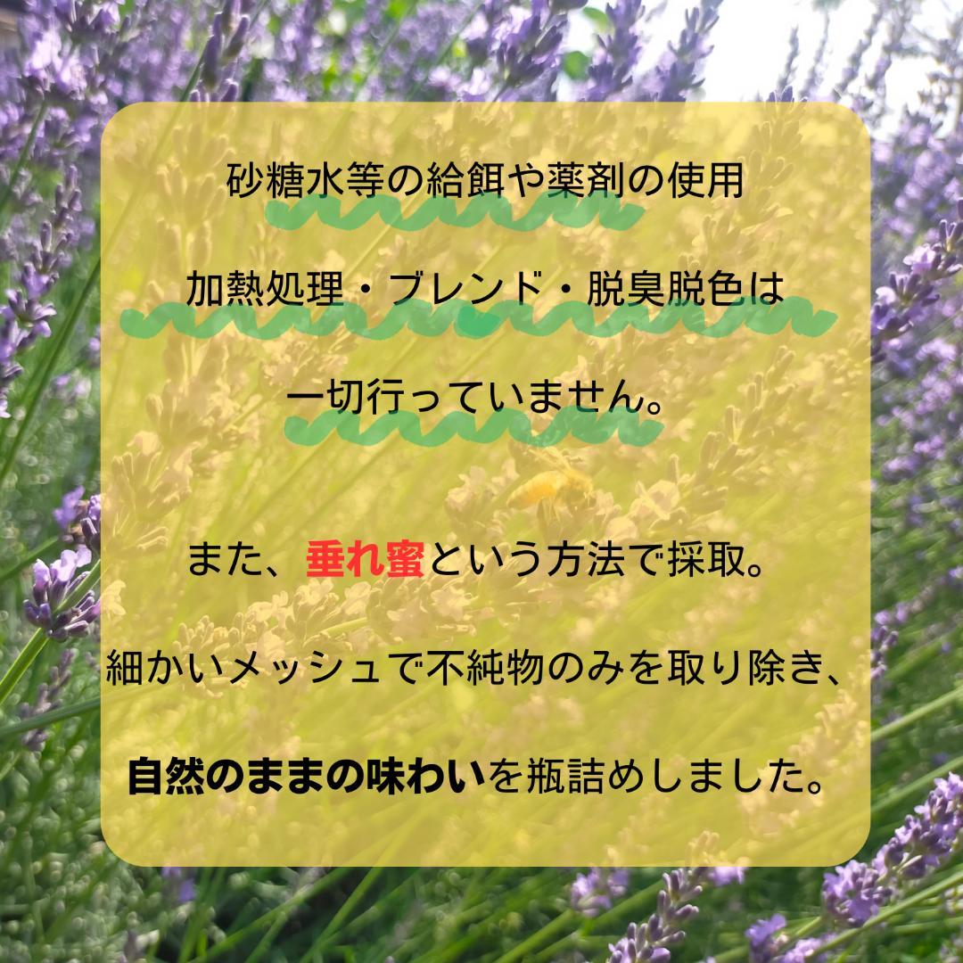 ニホンミツバチの国産百花蜜 1kg×1本　非加熱無添加天然はちみつ