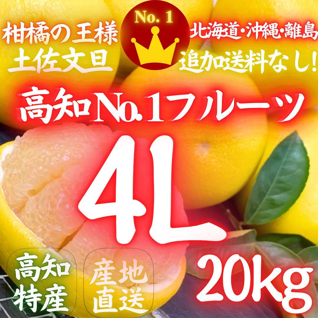 ⑤高知特産 露地栽培 土佐文旦 4L限定 文旦 約20kg 大玉 サイズ