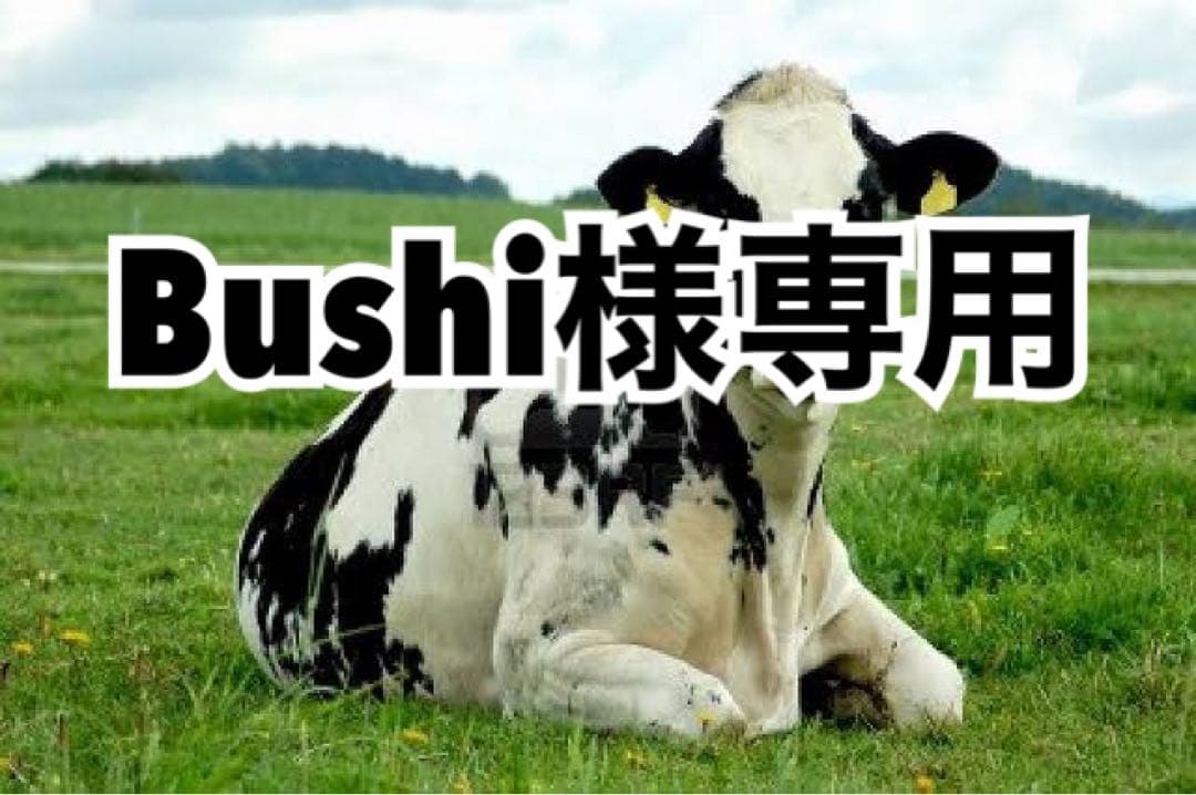 画像内容