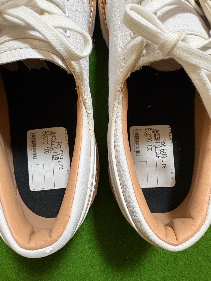 NIKE JANOSKI G NIKE ジャノスキーG ゴルフスパイク