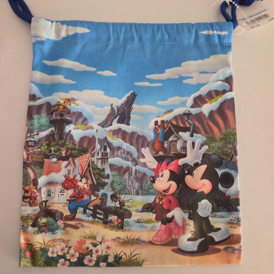 ディズニー　クリッターカントリー　巾着