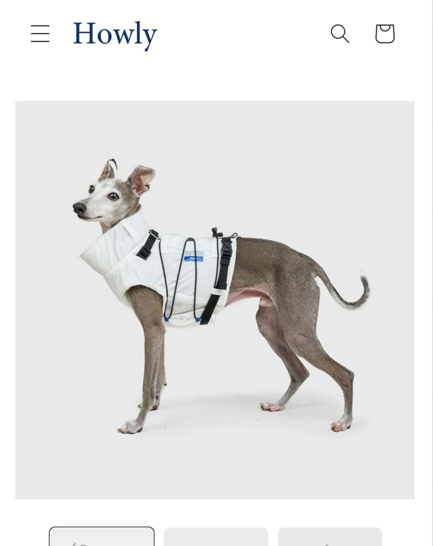 犬服・アクセサリー Howly FRAME-X ADV HARNESS - White Msize